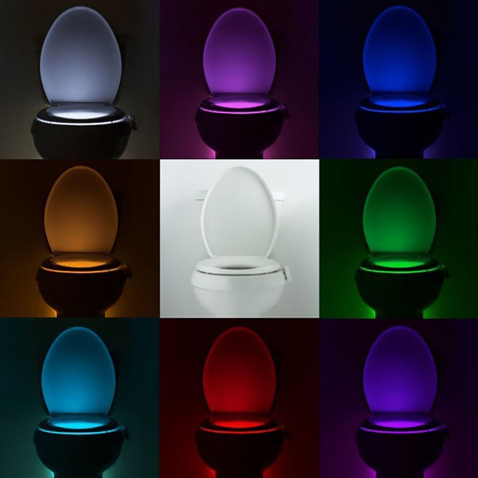 Motion sensor toilet seat night light