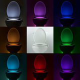 Motion sensor toilet seat night light