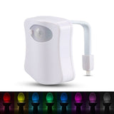 Motion sensor toilet seat night light